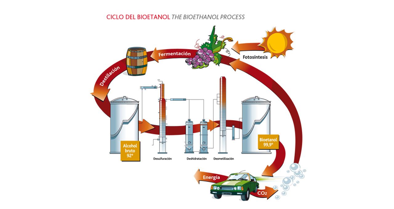 ciclo bioetanol